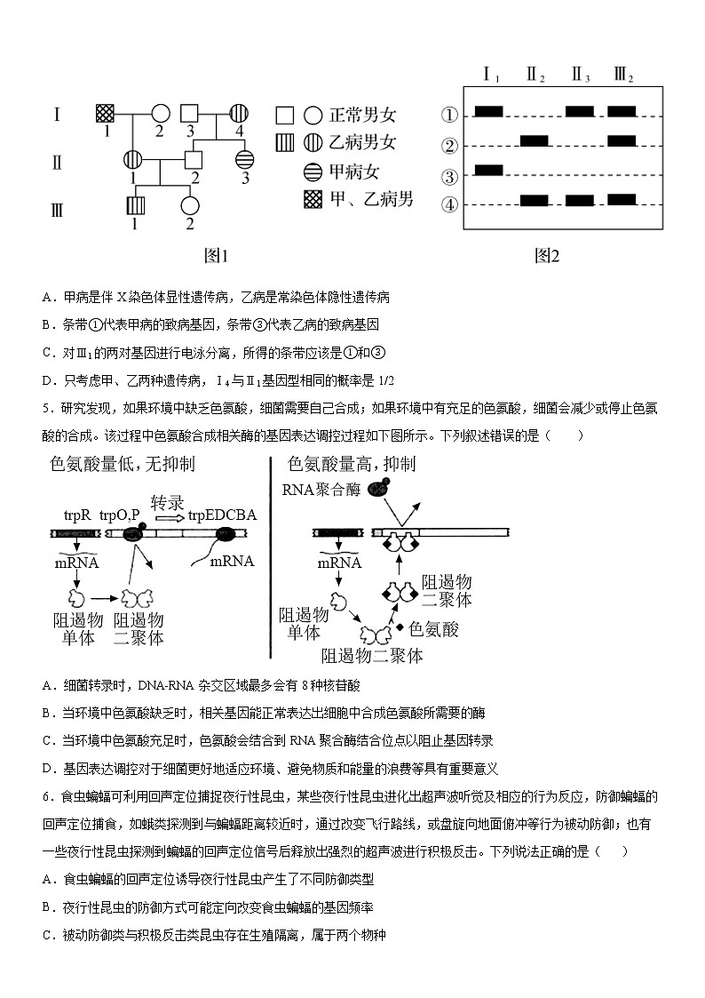 2021届山东省日照高三二模生物试卷及答案02