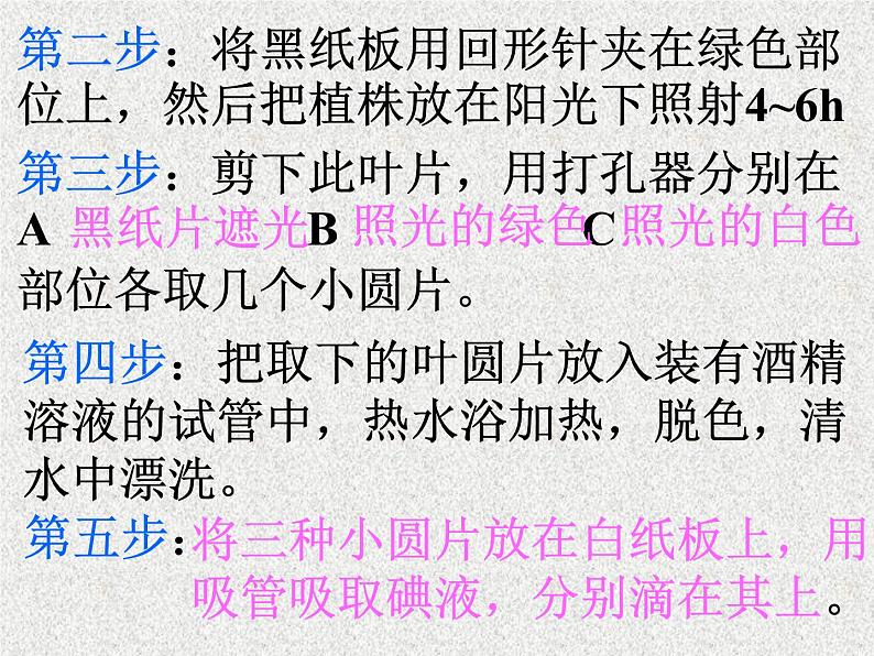 高考生物专题复习 生物实验课件 新人教版第5页