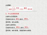 生物同步配套课件（人教版必修2）第4章第2节基因对性状的控制