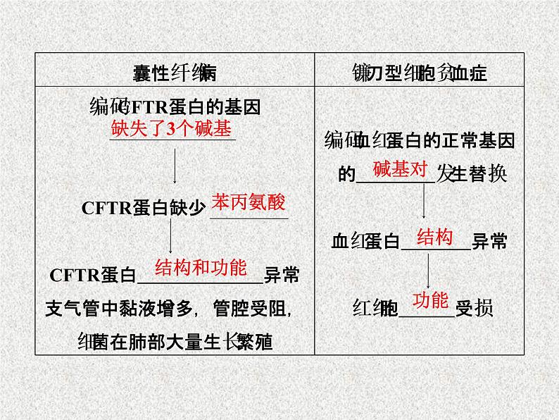 生物同步配套课件（人教版必修2）第4章第2节基因对性状的控制第8页