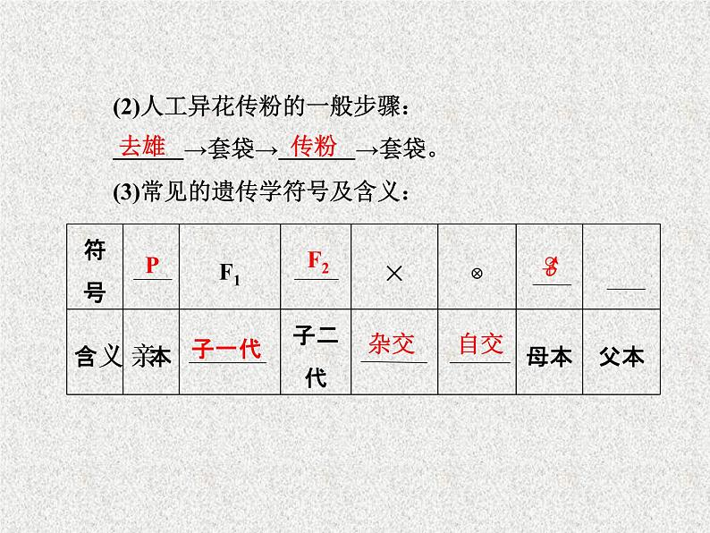 生物同步配套课件（人教版必修2）第1章第1节孟德尔的豌豆杂交实验（一）第4页