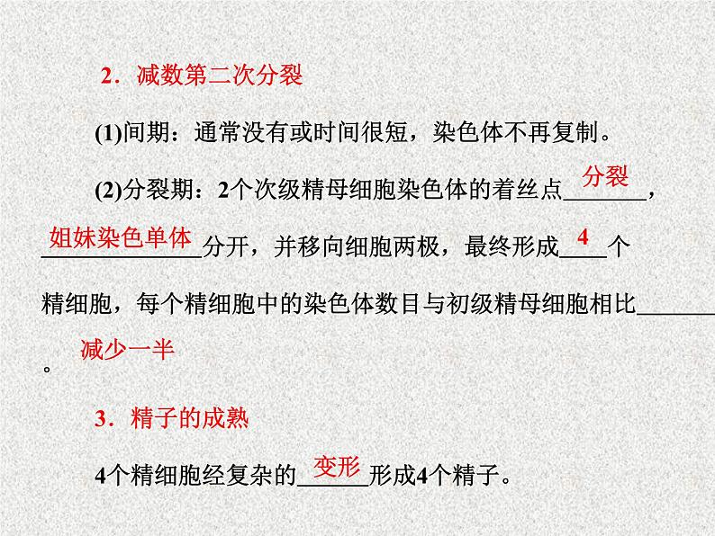 生物同步配套课件（人教版必修2）第2章第1节减数分裂和受精作用第7页