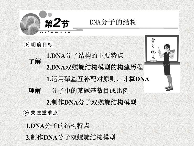 生物同步配套课件（人教版必修2）第3章第2节DNA分子的结构01