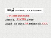 生物同步配套课件（人教版必修2）第3章第2节DNA分子的结构