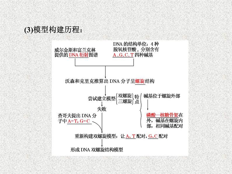 生物同步配套课件（人教版必修2）第3章第2节DNA分子的结构04