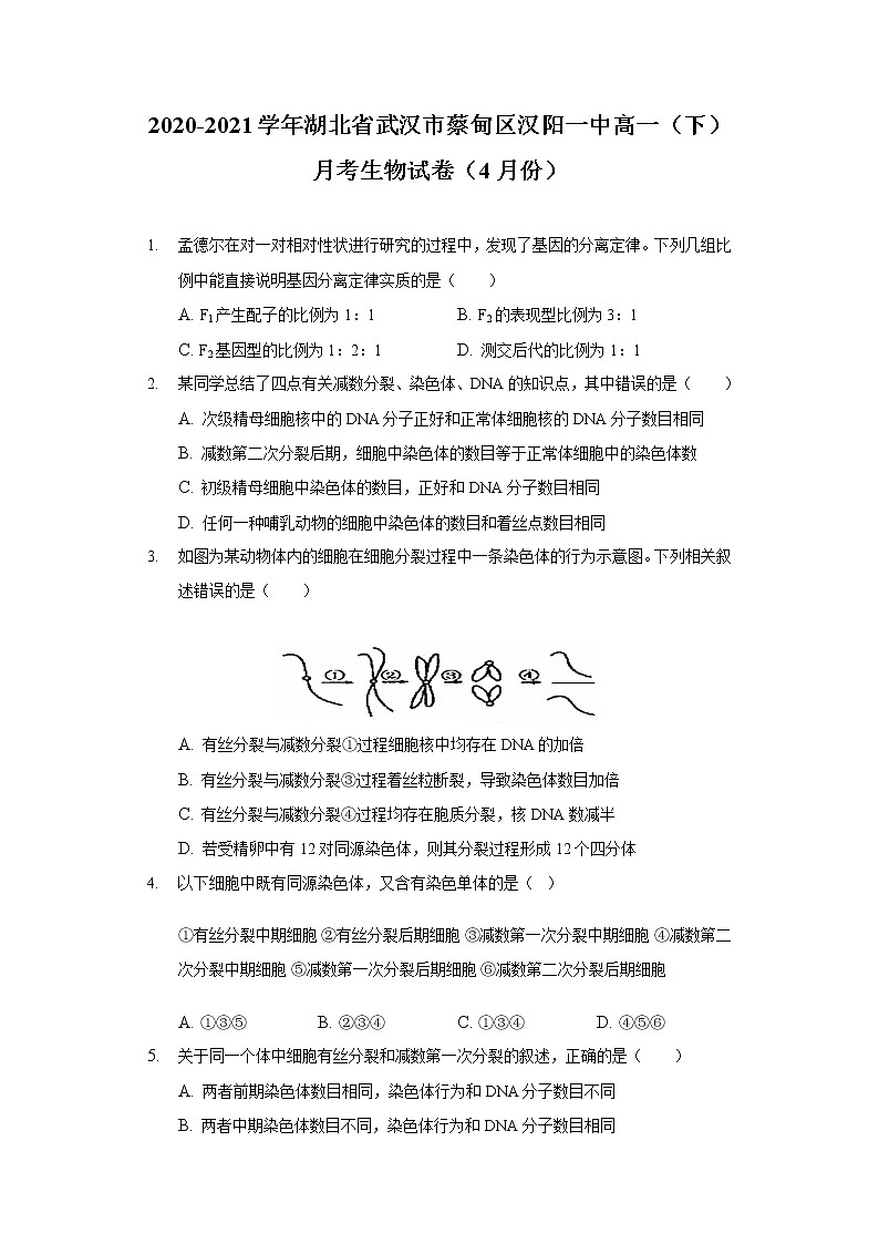 2020-2021学年湖北省武汉市蔡甸区汉阳一中高一（下）月考生物试卷（4月份）第1页
