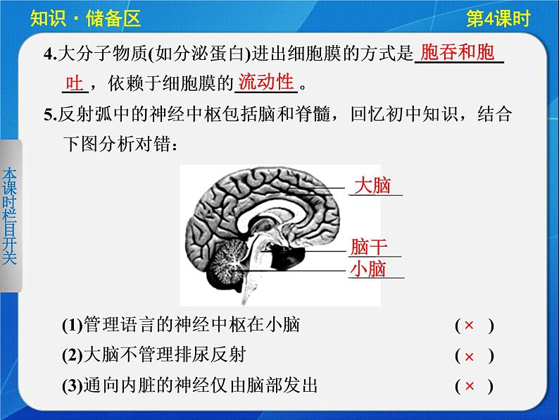 高中生物人教版必修3课件：2-4通过神经系统的调节(Ⅱ)第2页