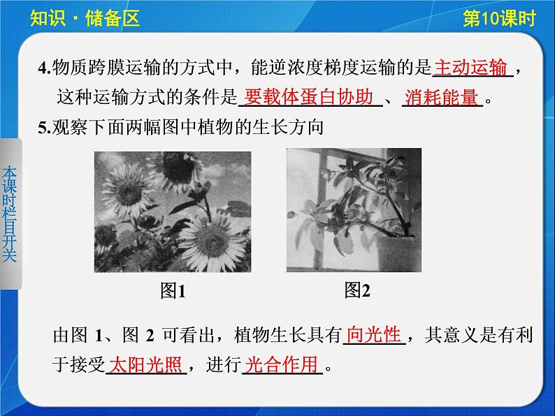 高中生物人教版必修3课件：3-10植物生长素的发现03