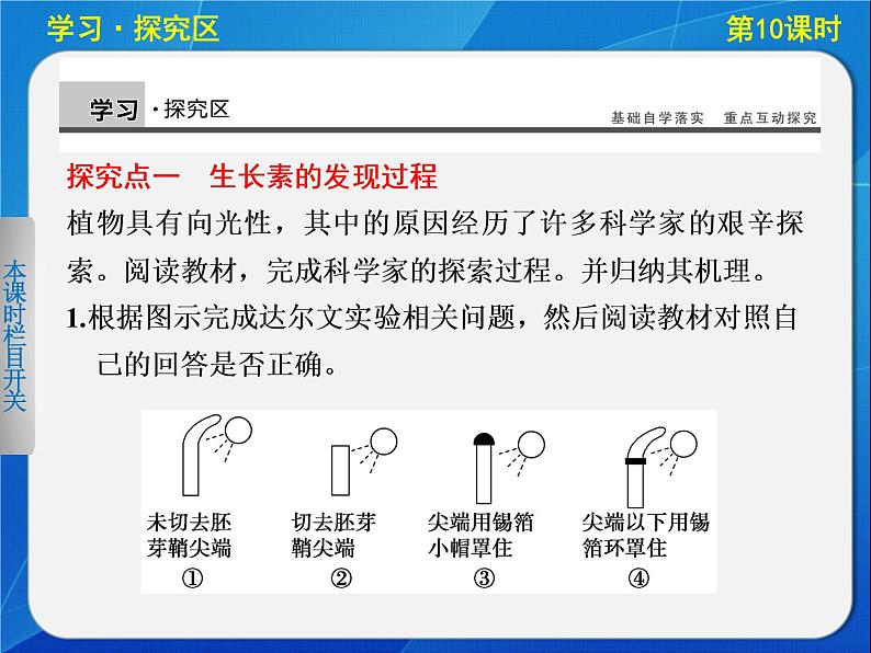 高中生物人教版必修3课件：3-10植物生长素的发现05