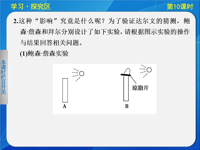 高中生物人教版必修3课件：3-10植物生长素的发现07