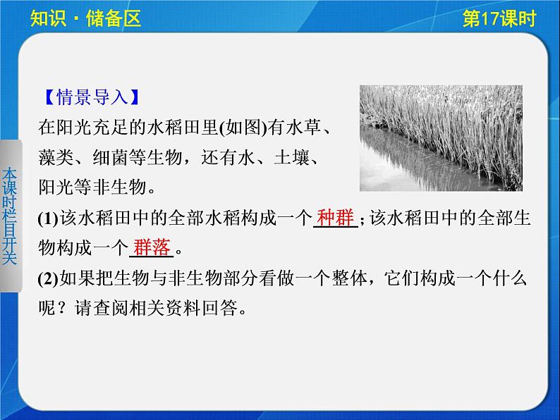 高中生物人教版必修3课件：5-17生态系统的结构第4页