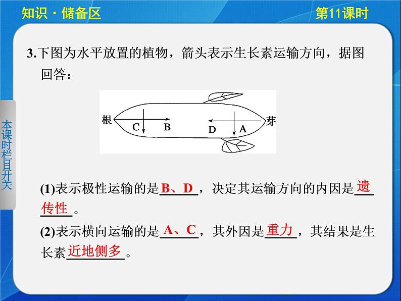 高中生物人教版必修3课件：3-11生长素的生理作用第2页