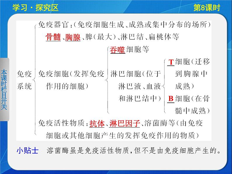 高中生物人教版必修3课件：2-8免疫调节(Ⅰ)第5页