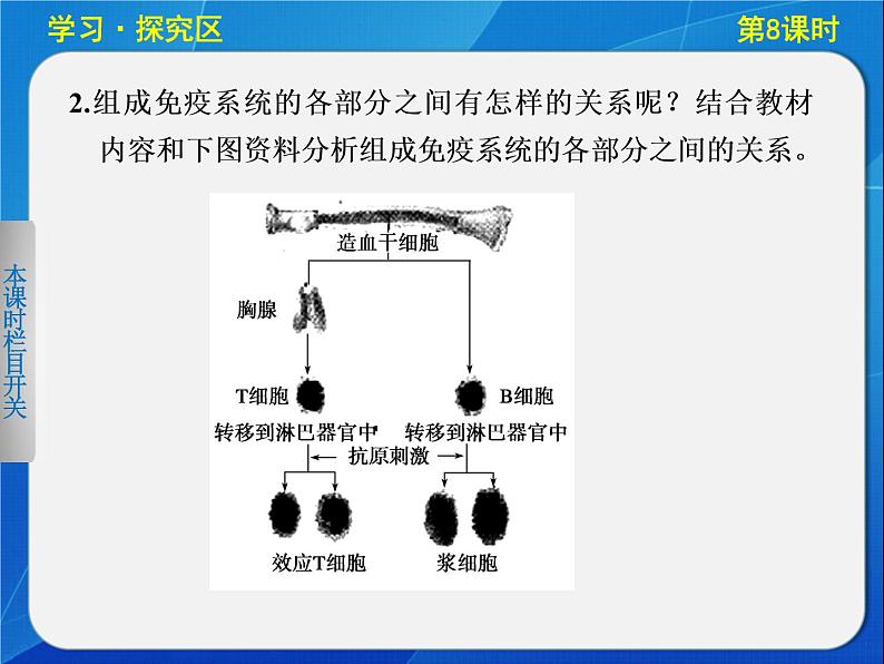 高中生物人教版必修3课件：2-8免疫调节(Ⅰ)第6页