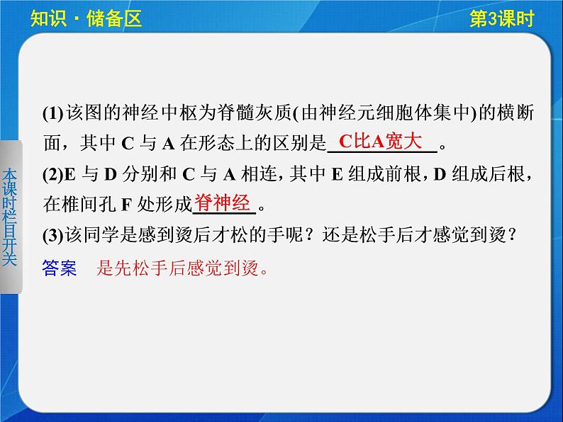 高中生物人教版必修3课件：2-3通过神经系统的调节(Ⅰ)第4页