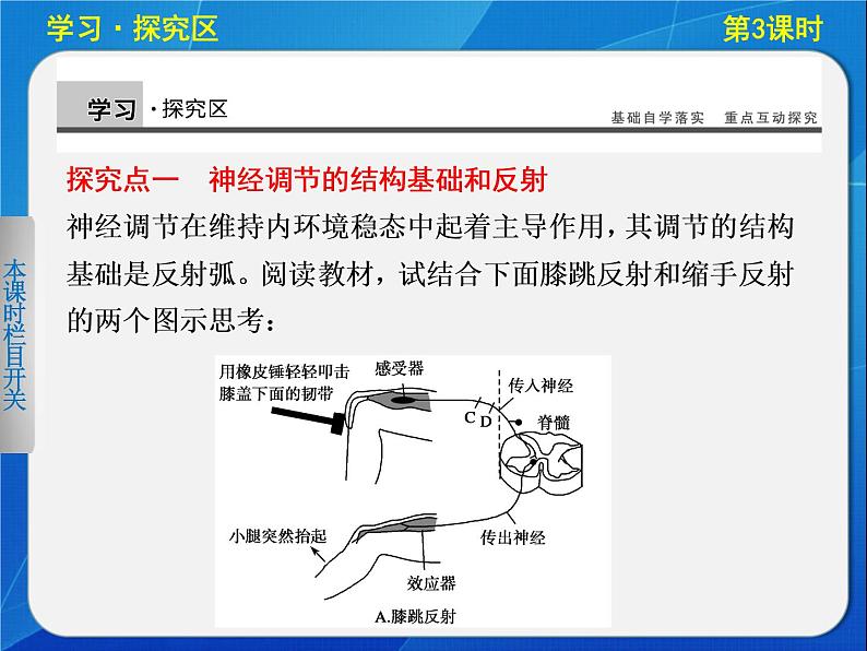 高中生物人教版必修3课件：2-3通过神经系统的调节(Ⅰ)第6页