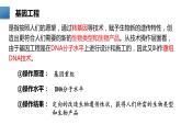 3.1重组DNA技术的基本工具(含DNA粗提取)课件2021-2022学年高二下学期生物人教版选择性必修3