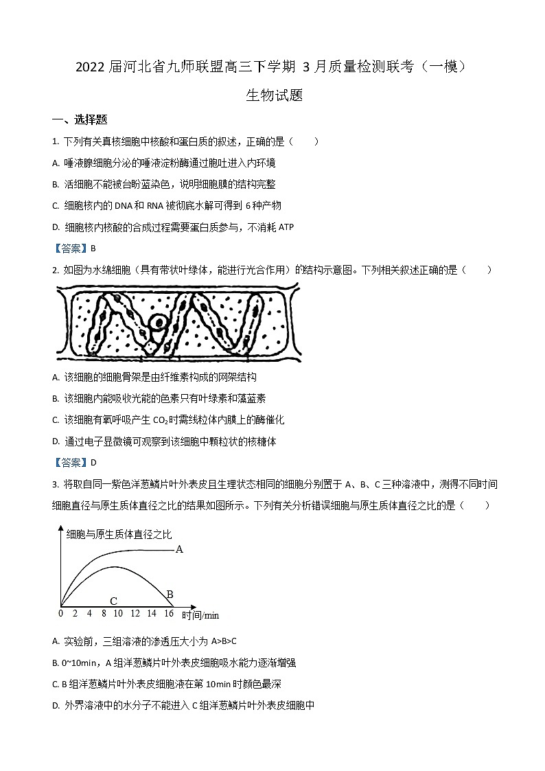 2022届河北省九师联盟高三下学期3月质量检测联考（一模）生物试题含答案第1页