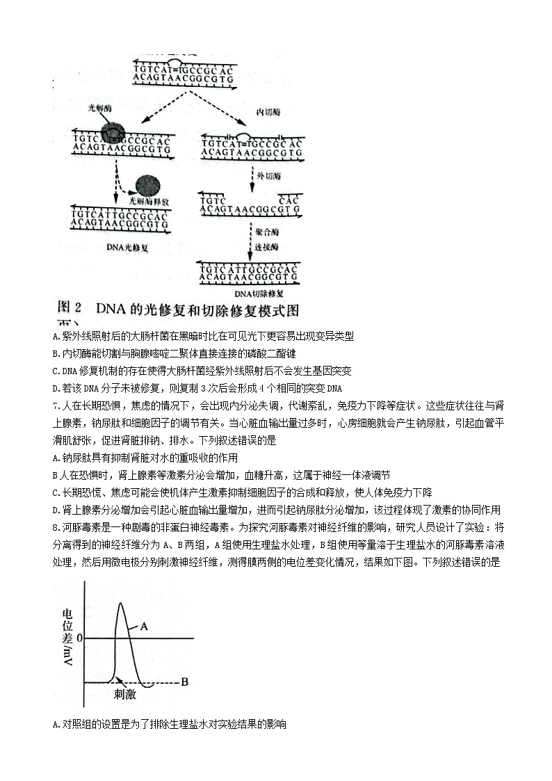 2022届山东省济南市高三下学期3月一模考试生物试题含答案第3页