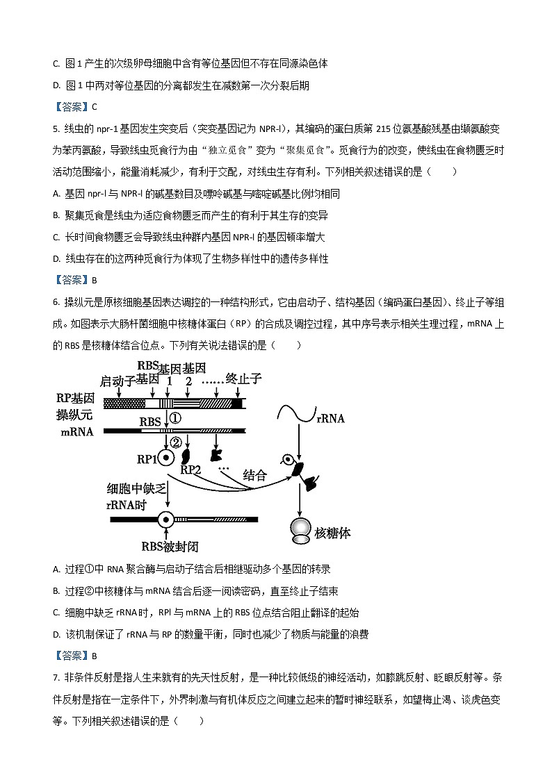2022届山东省日照市高三下学期3月一模考试生物试题含答案03