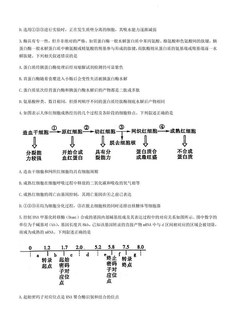 2022届山东省聊城高三一模生物试卷无答案02