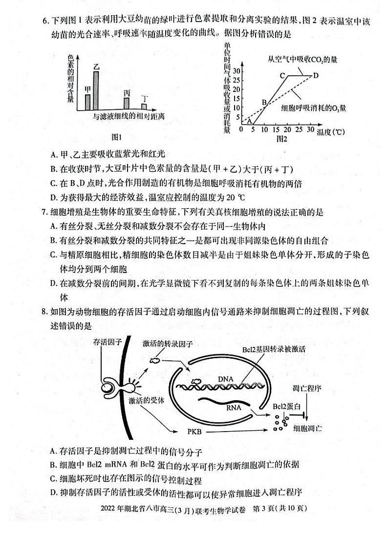 湖北省八市2021-2022学年高三3月联考生物试题第3页