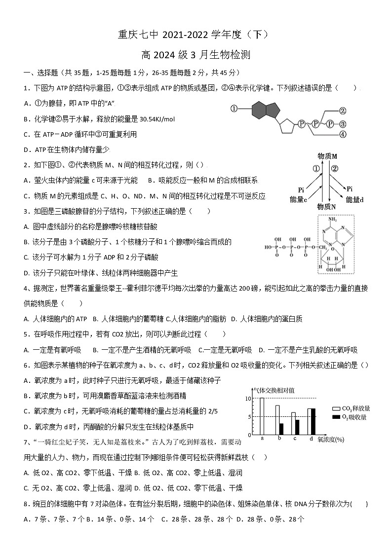 重庆市第七中学2021-2022学年高一下学期3月月考试题 生物第1页