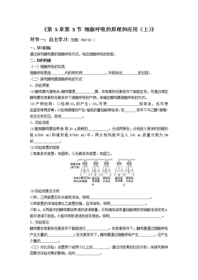 高中生物人教版（2019）必修一 分子与细胞 5.3 细胞呼吸的原理和应用（学案）01