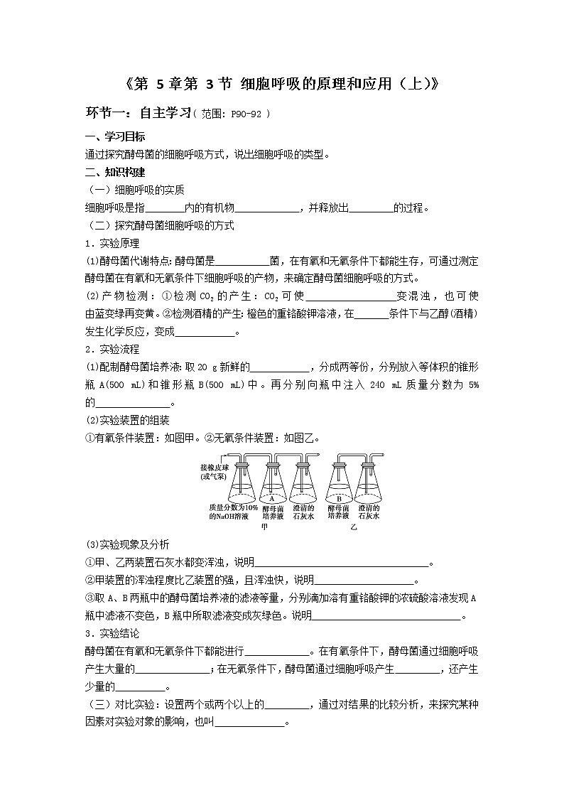 高中生物人教版（2019）必修一 分子与细胞 5.3 细胞呼吸的原理和应用（学案）01
