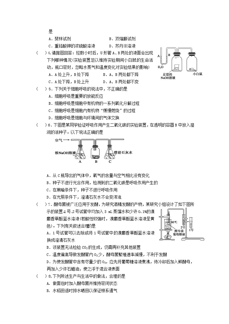 高中生物人教版（2019）必修一 分子与细胞 5.3 细胞呼吸的原理和应用（学案）03