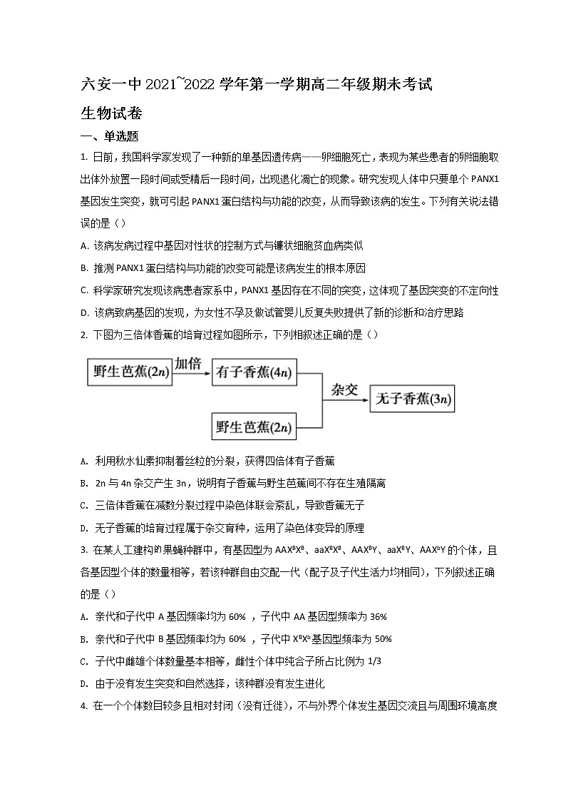 2022六安一中高二上学期期末生物试题含答案01