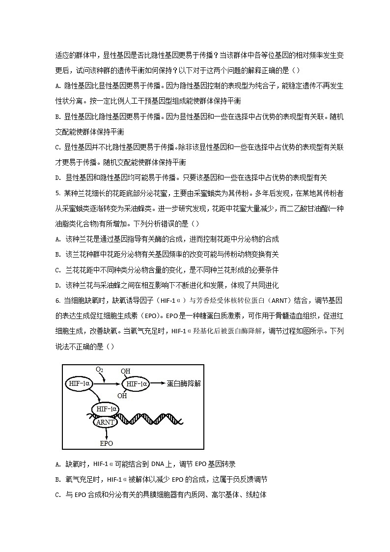 2022六安一中高二上学期期末生物试题含答案02