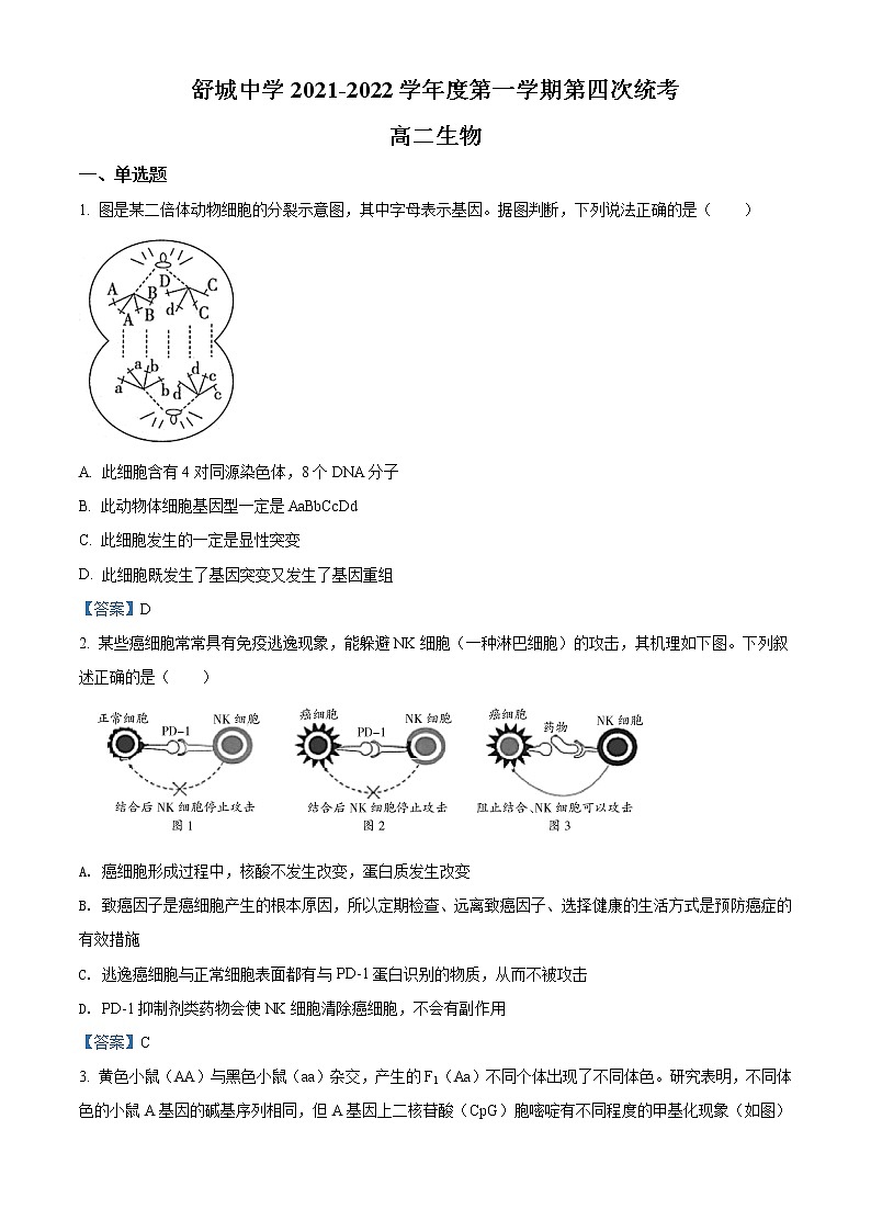 2022六安舒城县舒城中学高二上学期第四次月考生物试题含答案01