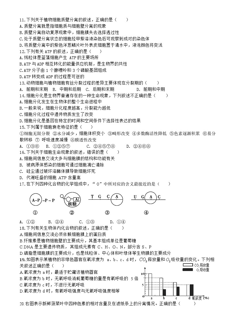 2022池州青阳县一中高一下学期3月月考生物试卷含答案第2页