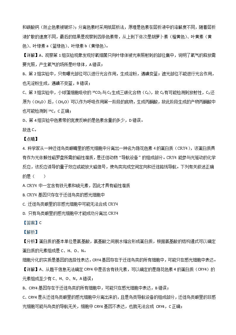 2022届湖南省衡阳市第八中学高三下学期开学考试（第六次月考）生物试题含解析第3页