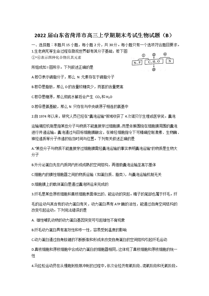 2022届山东省菏泽市高三上学期期末考试生物试题（B）含答案第1页