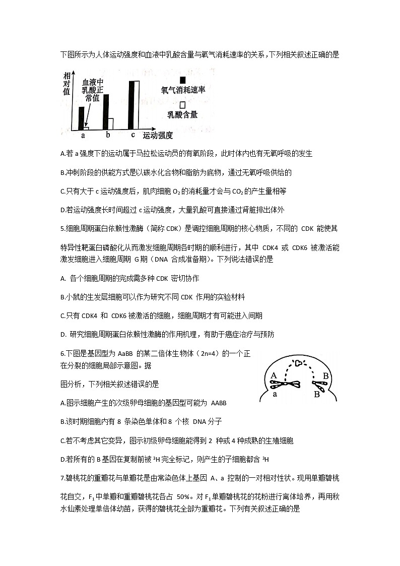 2022届山东省菏泽市高三上学期期末考试生物试题（B）含答案第2页