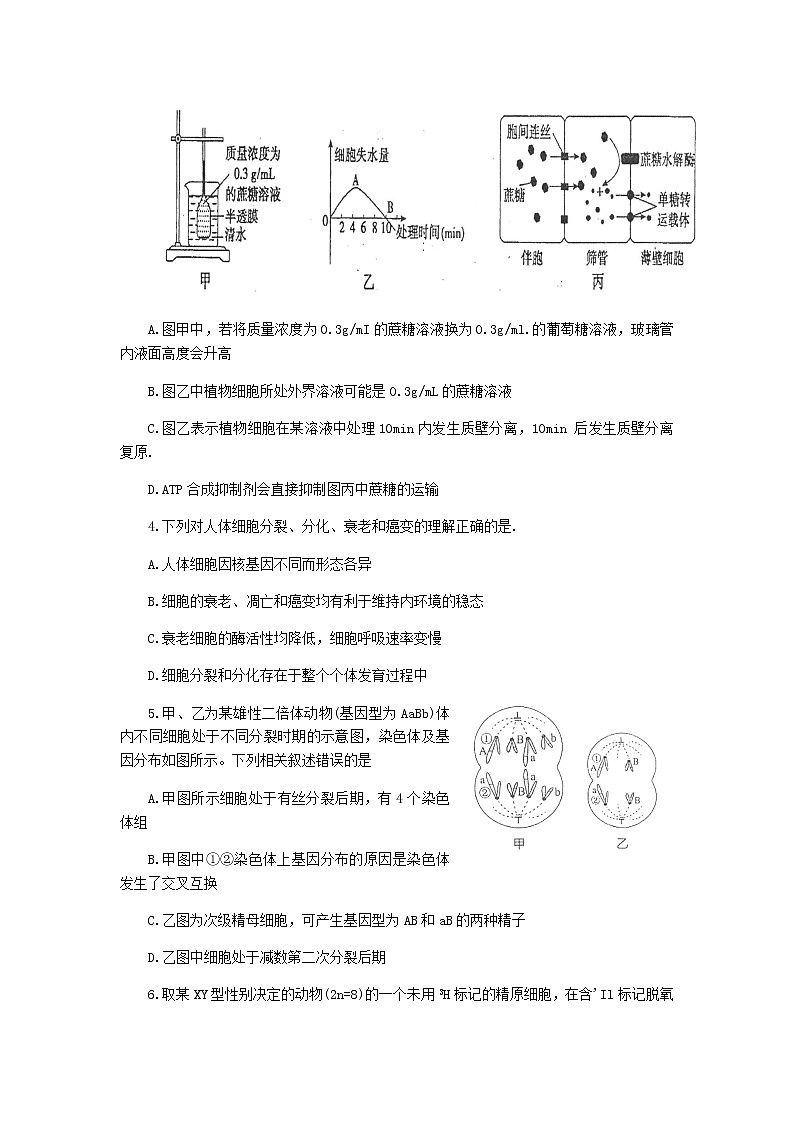 2022届江苏省高邮市高三上学期12月学情调研考试生物试题含答案第2页