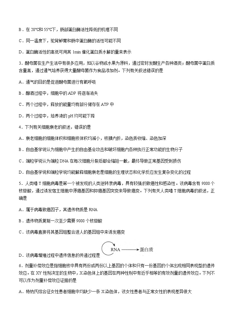 2022届河北省邯郸市高三上学期期末生物试题含答案02