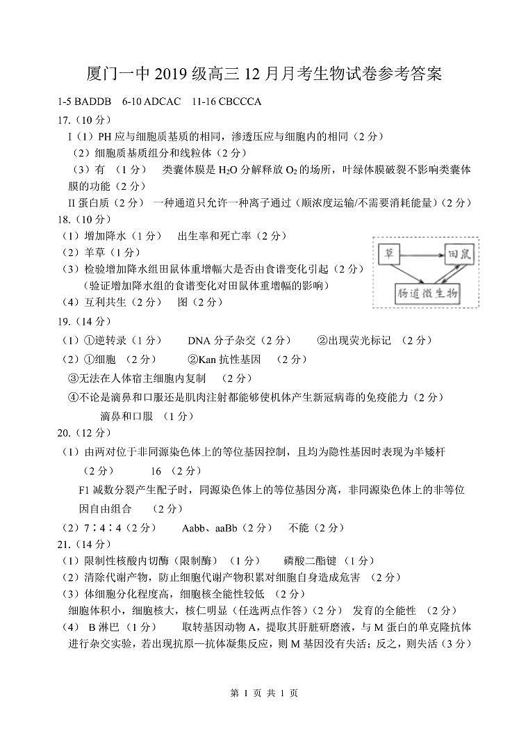 12月答案第1页
