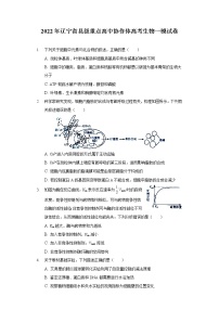 2022年辽宁省县级重点高中协作体高考生物一模试卷（含答案）