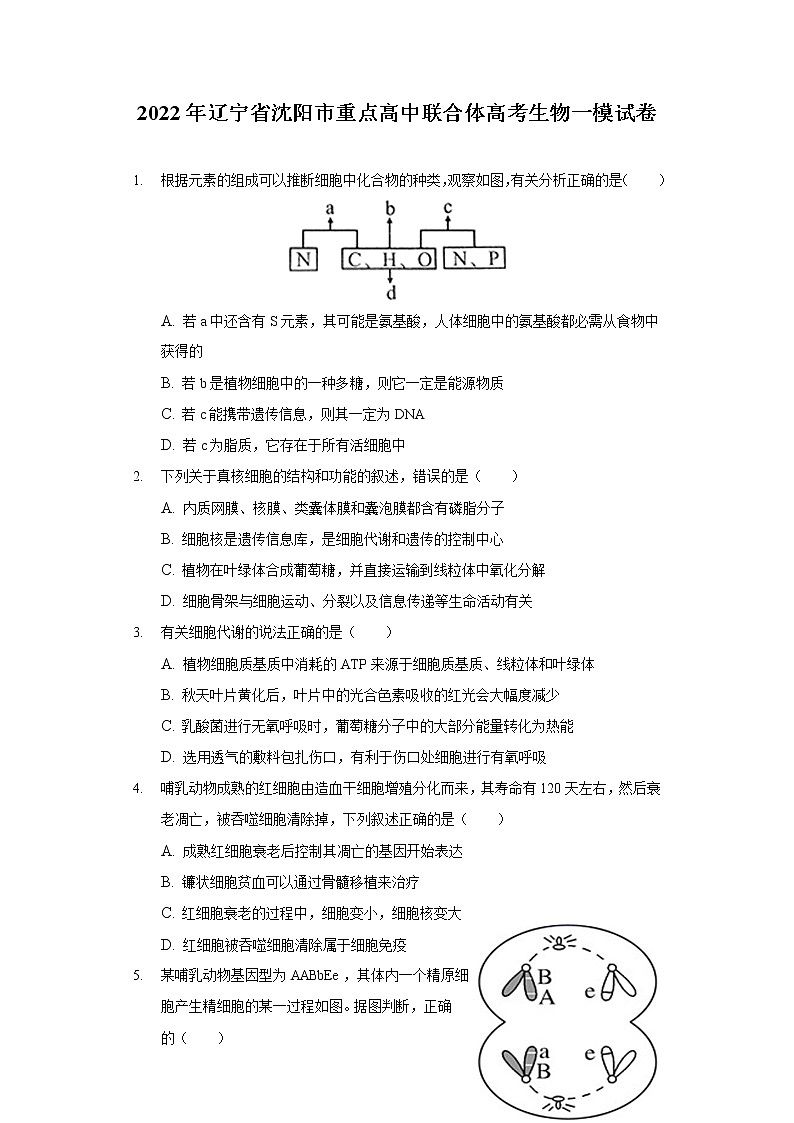 2022年辽宁省沈阳市重点高中联合体高考生物一模试卷（含答案）01