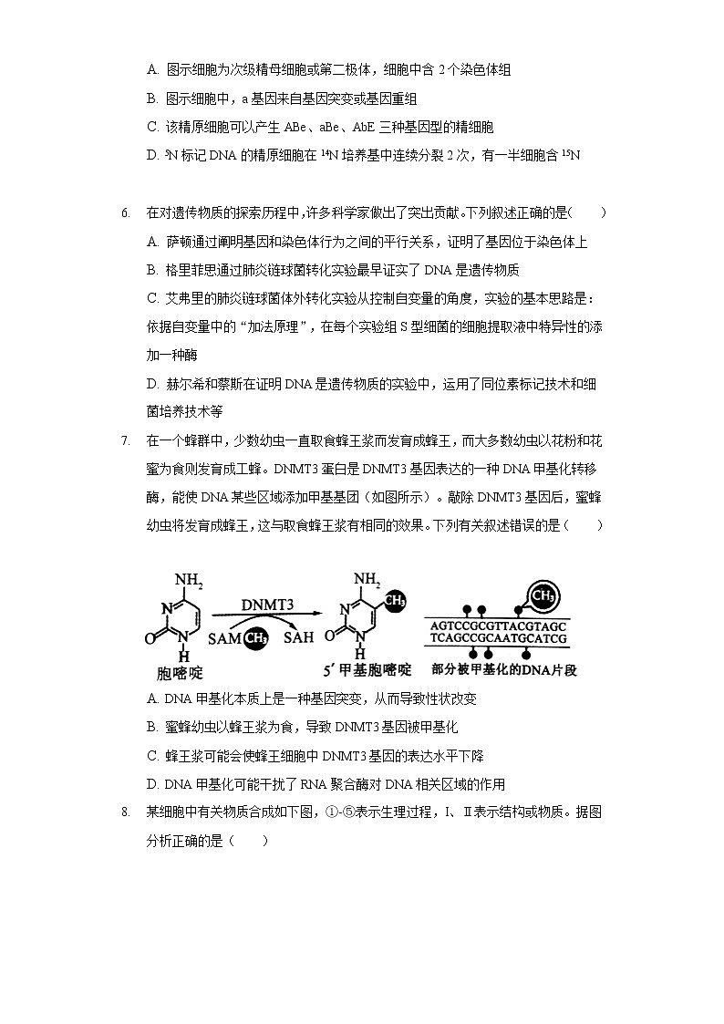 2022年辽宁省沈阳市重点高中联合体高考生物一模试卷（含答案）02