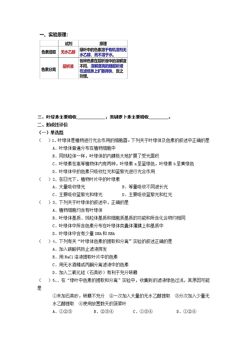 高中生物人教版（2019）必修一 分子与细胞 5.4 光合作用与能量转化（学案）03
