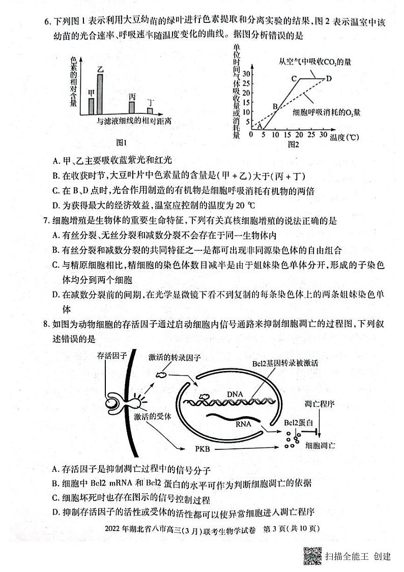 湖北省八市2021-2022学年高三3月联考生物试题第3页