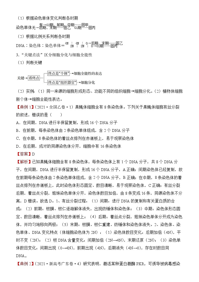 2022届优质校一模试卷专题汇编7  细胞的生命历程 解析版第2页