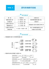 2022届优质校一模试卷专题汇编8  遗传的细胞学基础 解析版