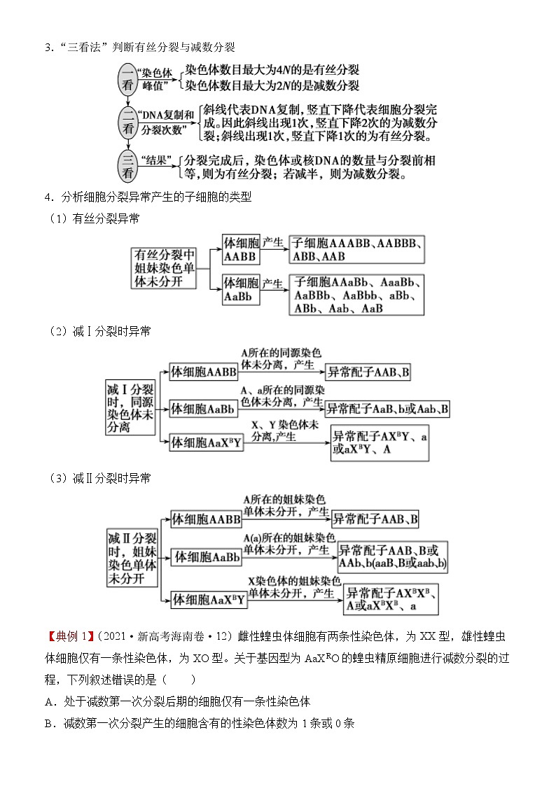 2022届优质校一模试卷专题汇编8  遗传的细胞学基础 解析版第2页