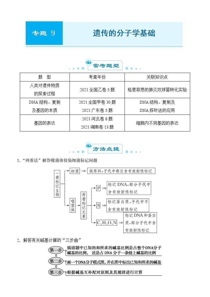 2022届优质校一模试卷专题汇编9  遗传的分子学基础 解析版第1页
