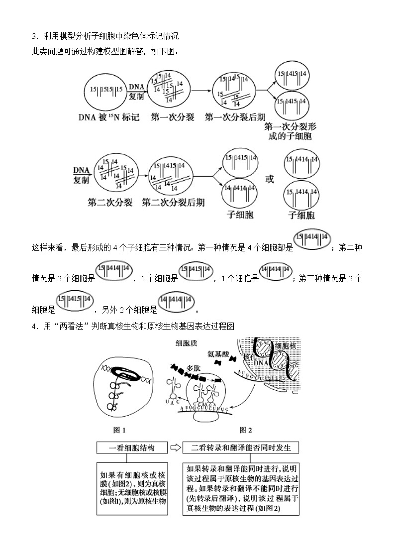 2022届优质校一模试卷专题汇编9  遗传的分子学基础 解析版第2页
